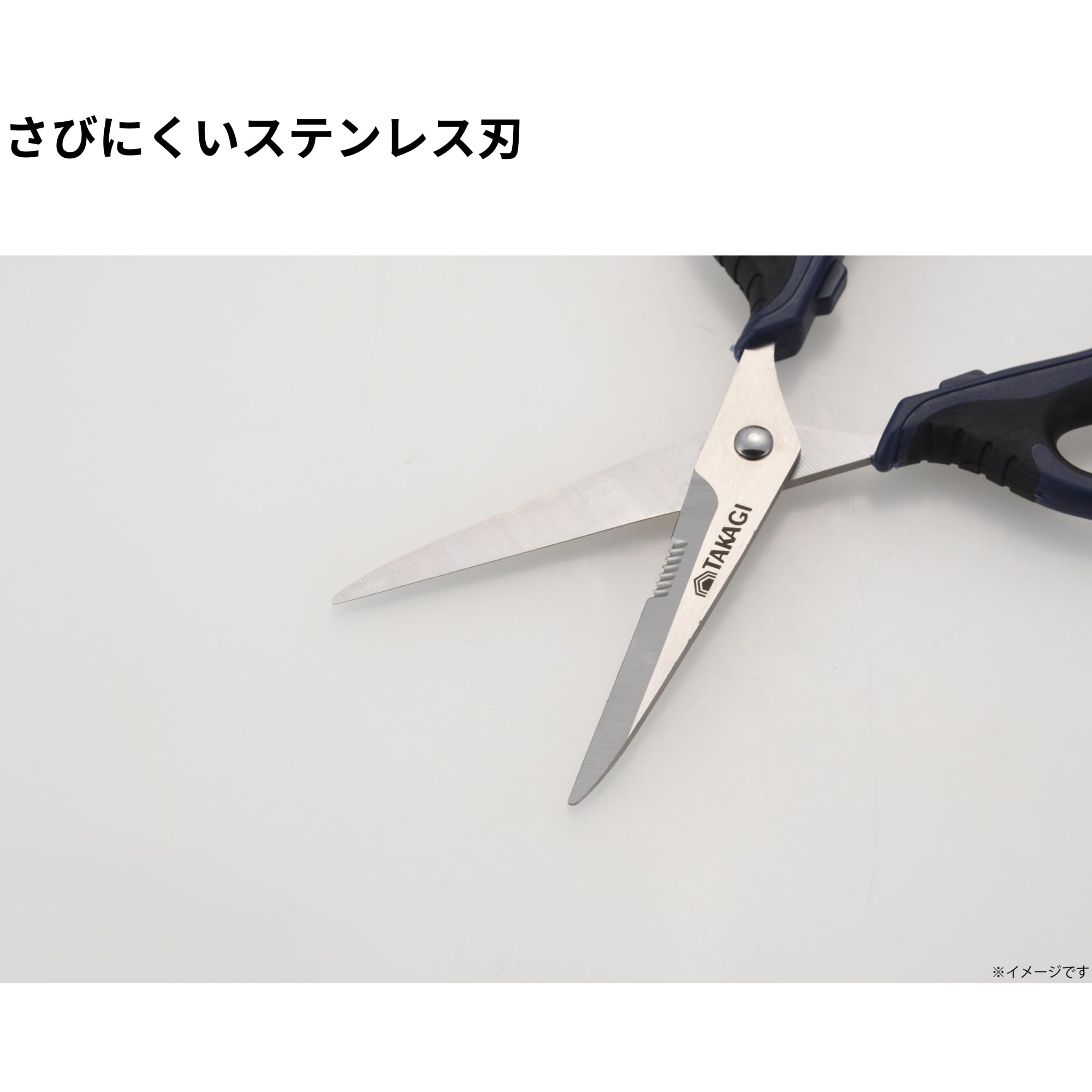 Amazon | 高儀 クラフト鋏 190mm TMS-190C | TAKAGI、切断能力:針金φ0